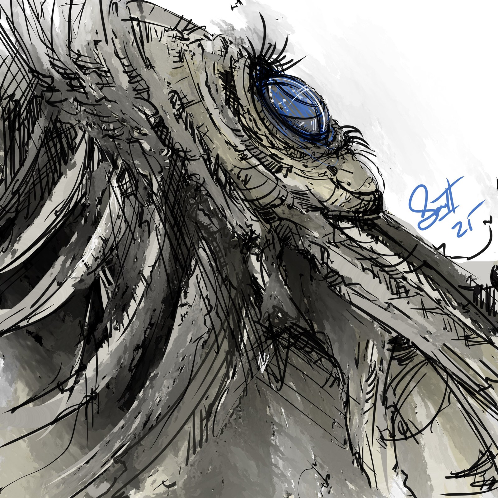 Gaze